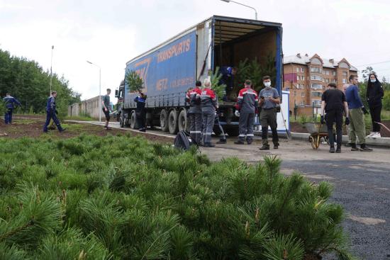 Территорию Медицинского центра помощи и спасения в Братске украсили молодые сосны и ели