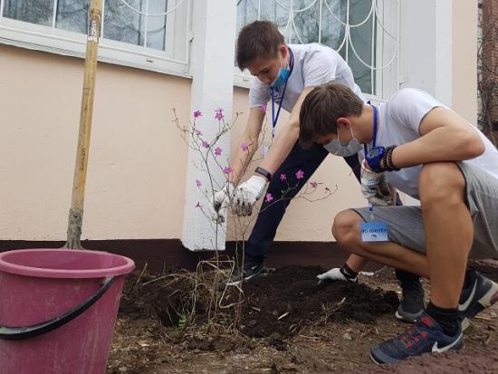 Акция «Палисадник Победы» проходит в Иркутской области