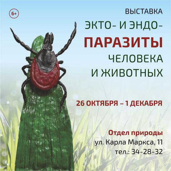 Выставка «Экто- и эндопаразиты человека и животных» откроется 26 октября в Иркутском краеведческом музее