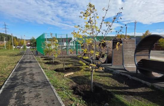 В иркутском парке «Полесье» завершили благоустройство