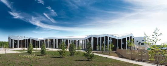 Ландшафтный парк из 40 тысяч растений заложили в «Точке будущего»