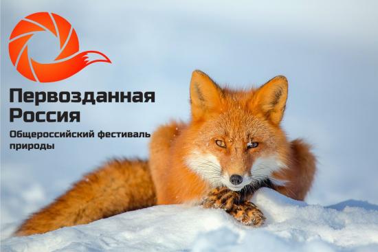 Выставка лучших фотографий из экспозиции фестиваля природы "Первозданная Россия" пройдет в Иркутске