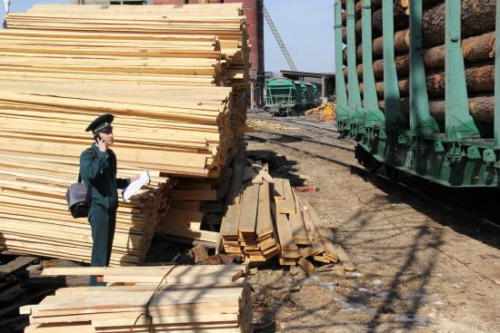 Уголовное дело возбуждено в отношении индивидуального предпринимателя за контрабанду пиломатериалов