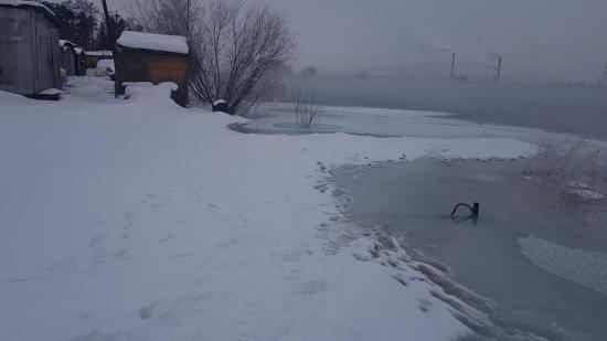 Садоводство подтопило в Ангарском городском округе