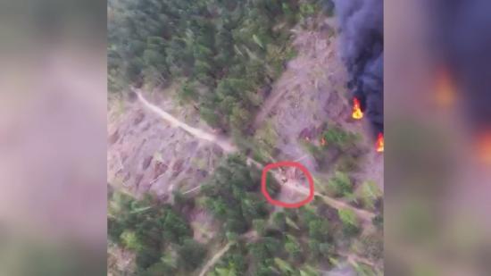 Подозреваемых в поджоге леса в Черемховском районе зафиксировали на видео