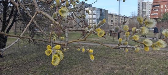 Порывы сильного ветра, дожди и грозы ожидаются в ряде районов Приангарья 13 мая
