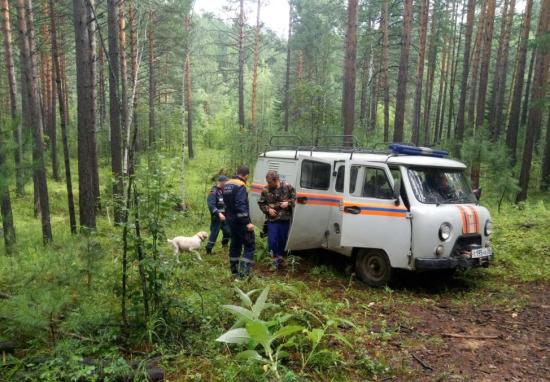 В Тайшетском районе нашли заблудившихся грибников