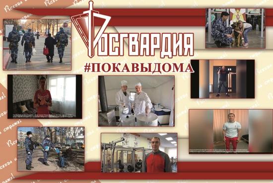 Росгвардия проведет мастер-классы в онлайн-режиме для находящихся на изоляции