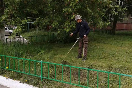 В Иркутске ведутся работы по скашиванию травы