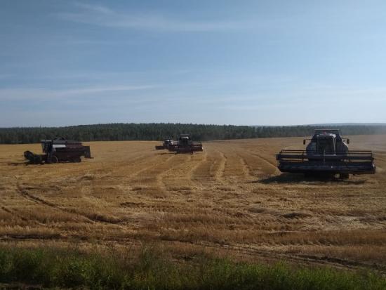 Уборочная кампания проходит в пострадавших от паводков районах Иркутской области