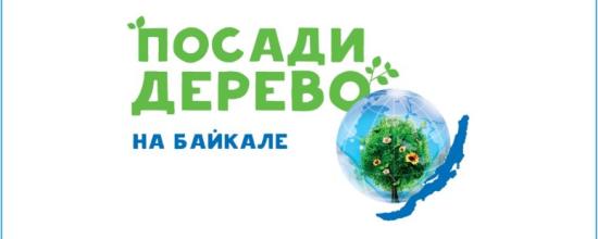 В Иркутской области день лесопосадки назначен на 18 мая Гарь 2003 года в Иркутском районе засадят сеянцами сосны