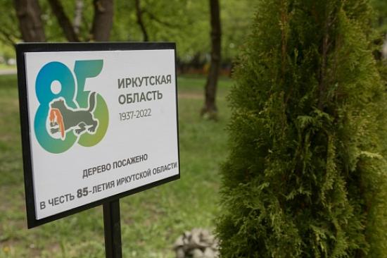 Деревья в честь 85-летия Иркутской области высадили в Москве