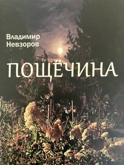 Презентация книги Владимира Невзорова «Пощечина» пройдет 23 апреля в Музее истории Иркутска