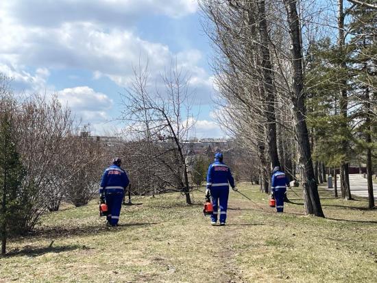 Почти в два раза больше обращений после укусов клещей фиксируют в этом году в Иркутской области