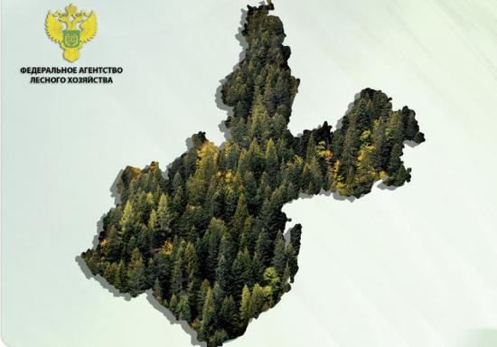 Территориальный отдел Рослесхоза создали в Иркутской области