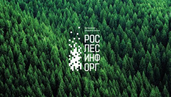 Группа «Илим» возглавила рейтинг крупнейших компаний ЛПК России по версии Рослесинфорг