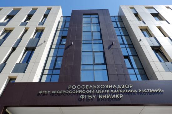 Порядка 90% зерна и продуктов его переработки из Иркутской области ушли с начала года на экспорт в Китай