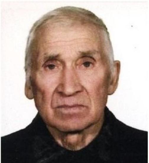 В Нижнеилимском районе не прекращаются поиски 81-летнего сборщика дикоросов