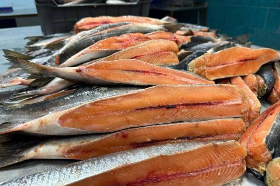 Первую в 2026 году партию рыбной продукции отправили из Приангарья в Китай