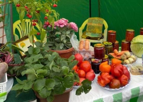 Ярмарка садоводов и огородников пройдет в Иркутске 15 июля
