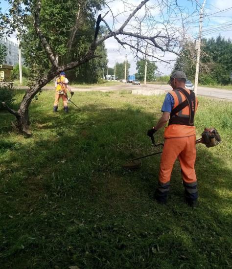 Специалисты МУП «Иркутскавтодор» ведут уход за газонами вдоль дорог и тротуаров