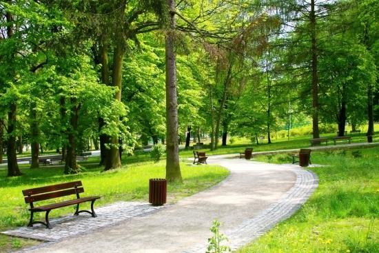 Центр Иркутска украсят два новых сквера