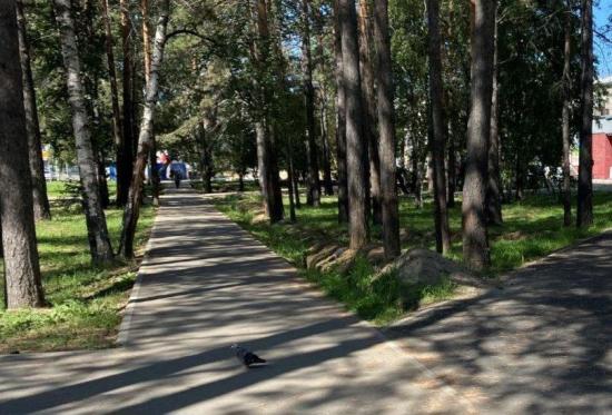 В Ангарске в 2023 году благоустроили 20 территорий