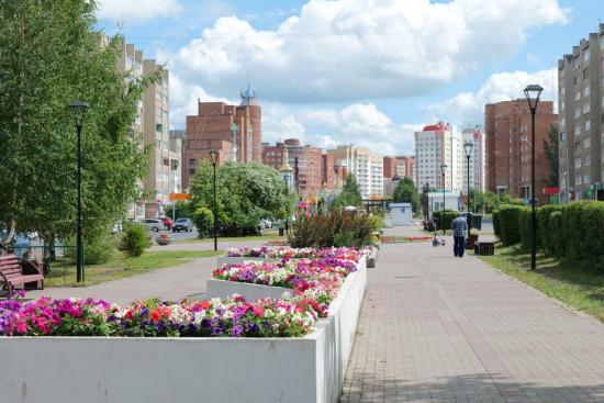 Охотники выследили медведя, угрожавшего безопасности кемеровчан