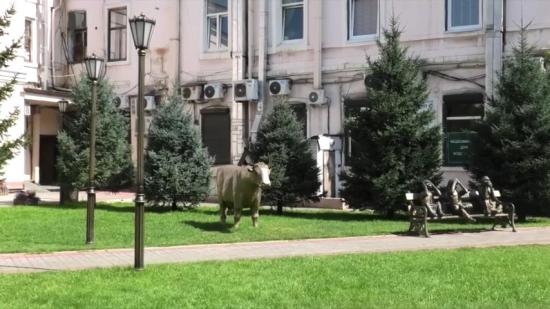В Иркутске нашли парней, обломавших рог быку в сквере на Ленина