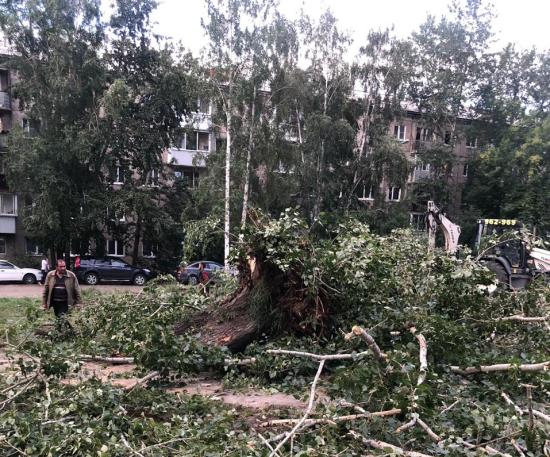 Сквер «Южный» благоустроят в Иркутске до конца октября
