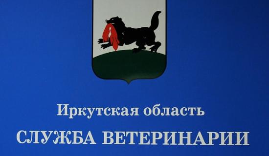 Территорию, где обнаружена свалка останков сельхозживотных в Эхирит-Булагатском районе, продезинфицируют
