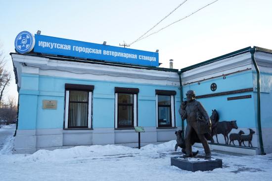Конкурс по предоставлению грантов на создание приютов для животных в Иркутской области стартует 14 марта