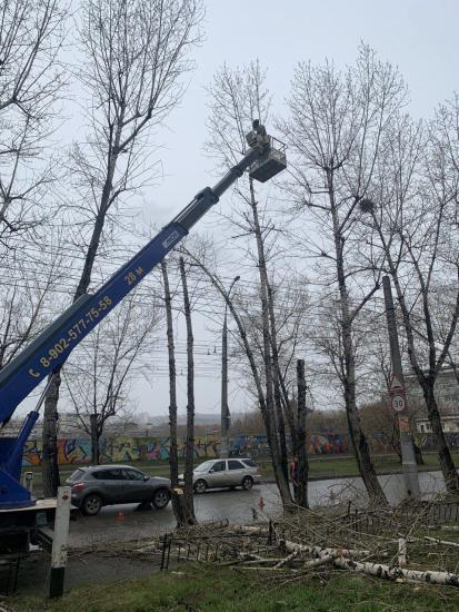 В Иркутске выполняют снос деревьев вдоль дорог, подлежащих ремонту в этом году