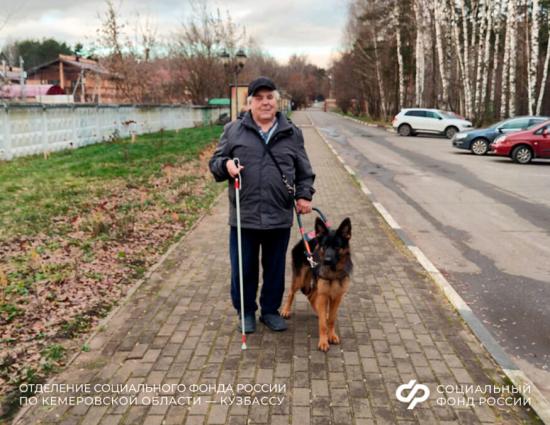 Собаку-повадыря специально обучили для сибиряка в подмосковной школе