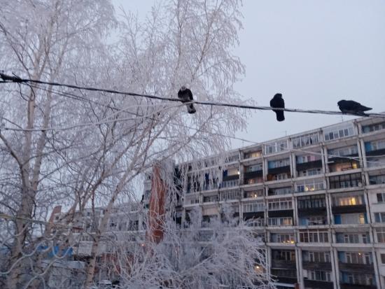 Цены на вторичное жилье значительно выросли в Иркутской области