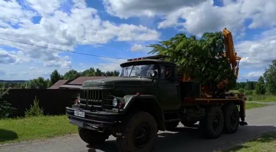 Спецтехнику для посадки крупномерных деревьев приобрели в Братске