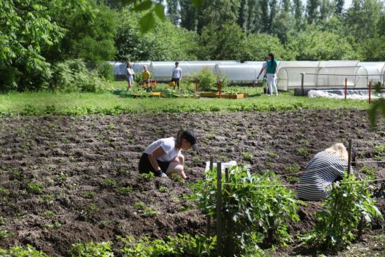 Иркутская станция юных натуралистов запустила программу «Моя будущая профессия – агроном»