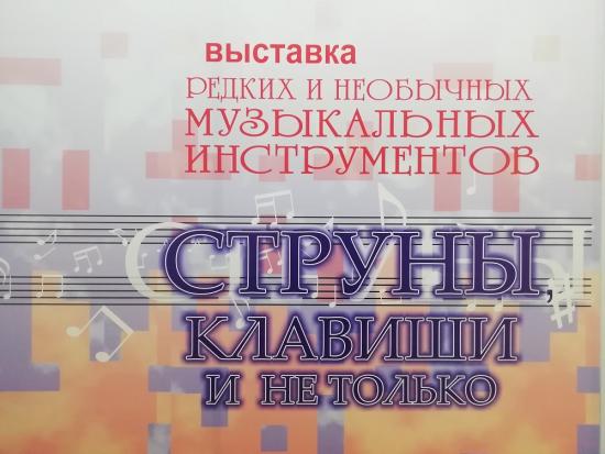 Шансон исполнит группа UP-Позиция на выставке «Струны, клавиши и не только» в краеведческом музее