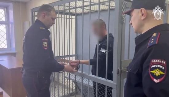 Натравивший собаку на маленькую девочку мужчина отправится в колонию особого режима