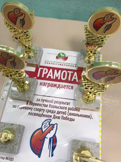 Первенство Усольского района по гиревому спорту среди школьников поддержал Благотворительный фонд Павла Сумарокова