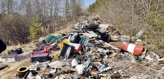 Нарушения природоохранного законодательства выявили в большинстве садоводств Иркутска, Иркутского и Шелеховского районов