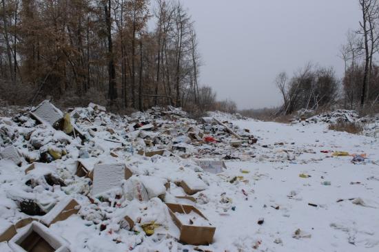 Более 1,5 тысяч кубометров мусора вывезли из лесного фонда Иркутской области