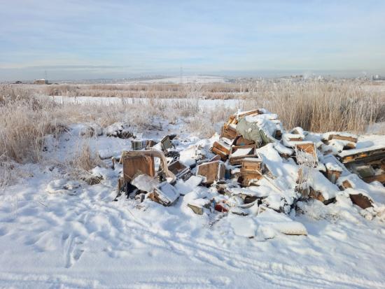 Свалку литий-ионных батарей обнаружили в заказнике «Птичья гавань» Иркутска