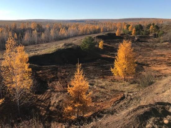 Несколько десятков несанкционированных свалок ликвидировали в Иркутской области