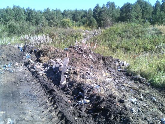 Собственника участка близ Хомутово привлекли к ответственности за хлам и растительность на сельхозземлях