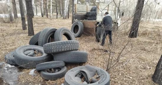 Более 700 несанкционированных свалок ликвидировали с начала года в Иркутске