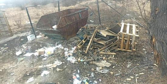 Более 1,7 тыс. кубометров несанкционированных свалок ликвидировали в Иркутске с начала года