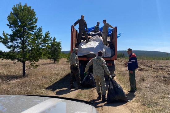 Около 40 несанкционированных свалок в лесах ликвидировали в Иркутской области