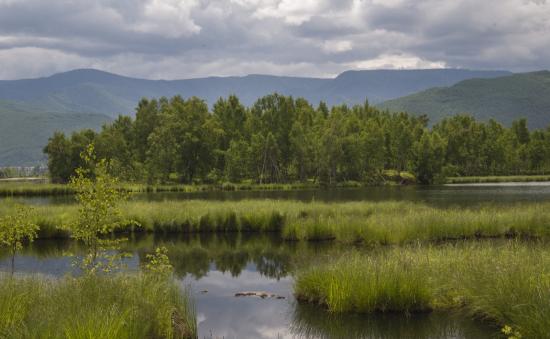 Новый памятник природы «Таловский озерно-болотный комплекс» создали в Иркутской области