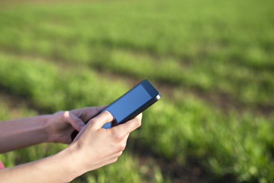 МегаФон улучшил покрытие LTE в Мамонах